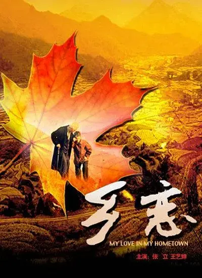 《乡恋2009[电影解说]》全集高清完整版在线观看与剧情解析