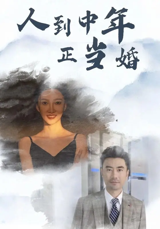 《人到中年正当婚》全集高清完整版在线观看与剧情解析
