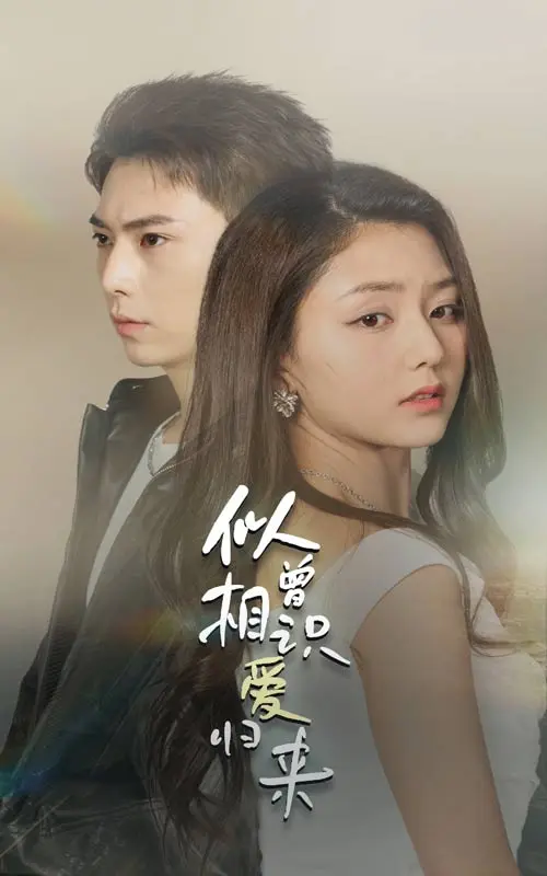 《似曾相识爱归来》全集高清完整版在线观看与剧情解析