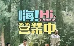 《嗨!营业中第四季》全集高清完整版在线观看与剧情解析