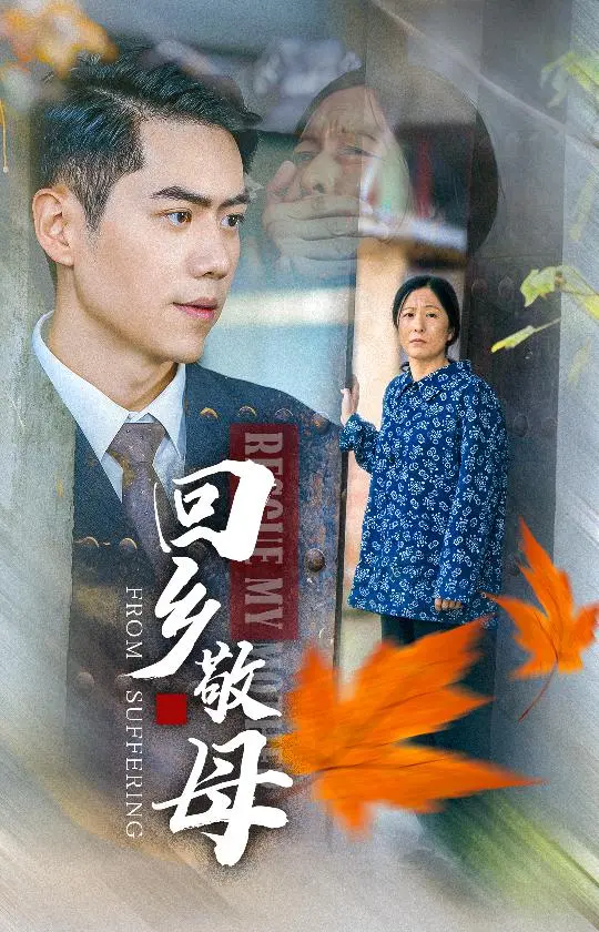 《回乡敬母》全集高清完整版在线观看与剧情解析