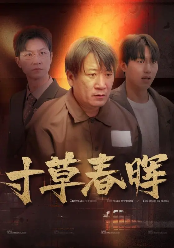 《寸草春晖》全集高清完整版在线观看与剧情解析