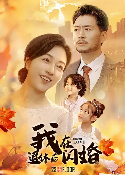 《我在退休后闪婚》全集高清完整版在线观看与剧情解析