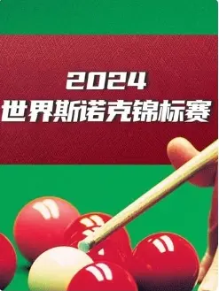 《斯诺克英锦赛 丁俊晖6-5米尔金斯20241124》全集高清完整版在线观看与剧情解析