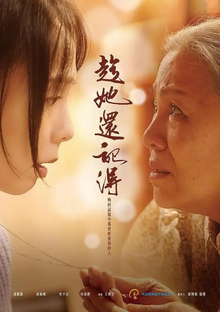 《趁她还记得》全集高清完整版在线观看与剧情解析