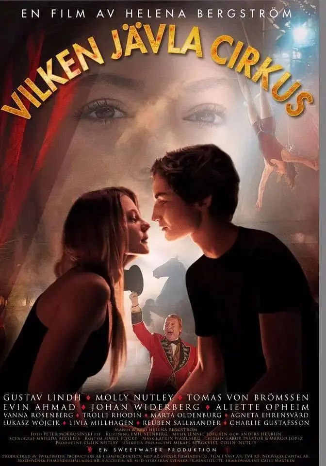 《马戏团迷情2017》全集高清完整版在线观看与剧情解析